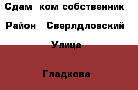 Сдам 1ком собственник › Район ­ Сверлдловский › Улица ­ Гладкова › Этажность дома ­ 9 › Цена ­ 13 000 - Красноярский край Недвижимость » Квартиры аренда   